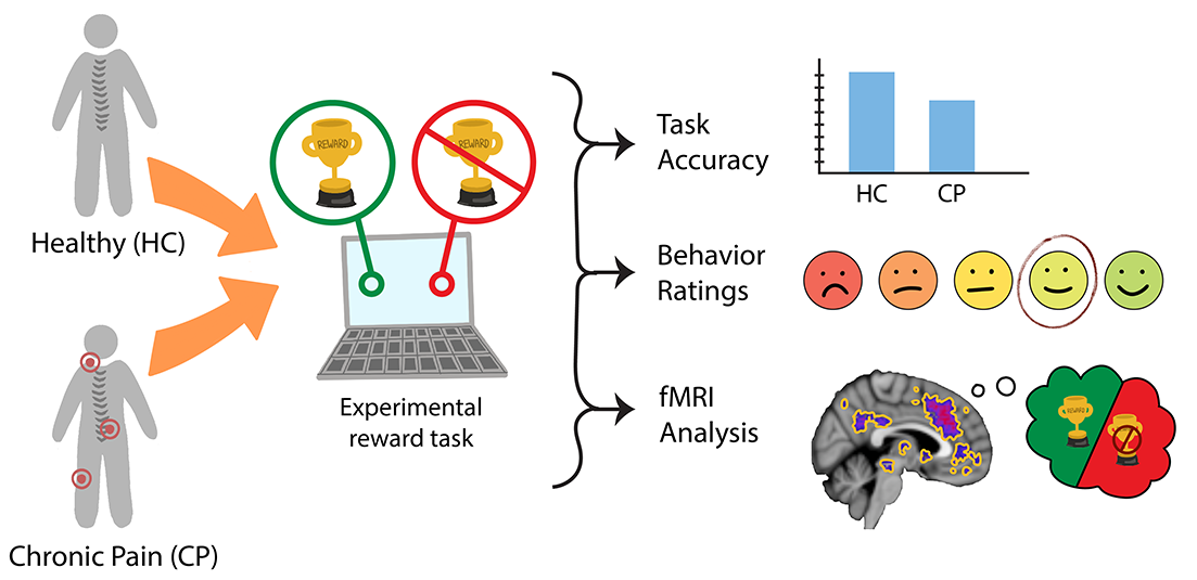 Schematic image of research participants and an MRI scanner with symbols to represent a reward task experiment. Brain images showing group differences for illustrative purposes only. Created by K. Martucci & Carina Lei 2023.