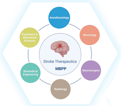 Figure 2. Stroke Therapeutics MBPP