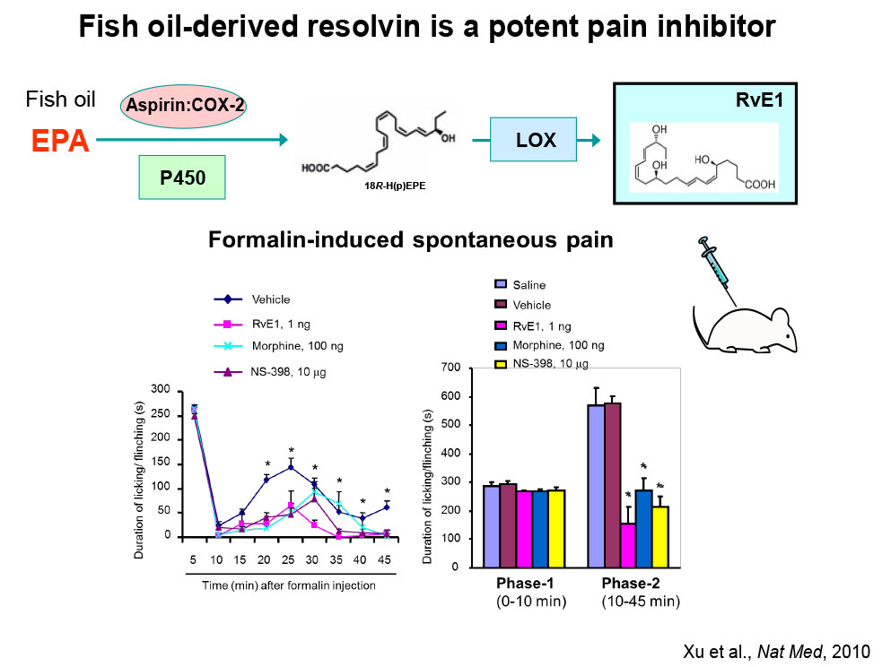 Fish oil-derived resolvin is a potent pain inhibitor