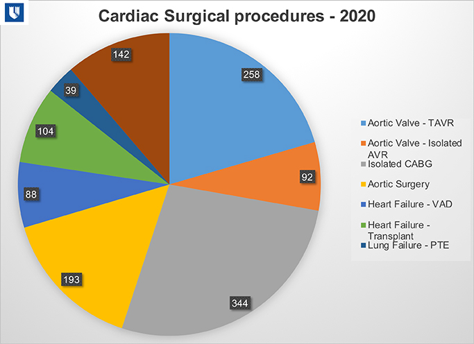Cardiac Surgical Procedures 2020