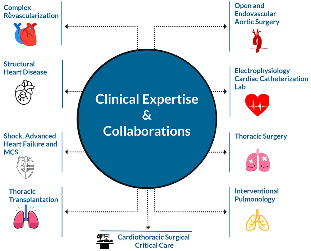 Clinical Expertise and Collaborations within the Cardiothoracic Anesthesiology Division