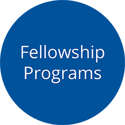 Fellowship Programs Icon