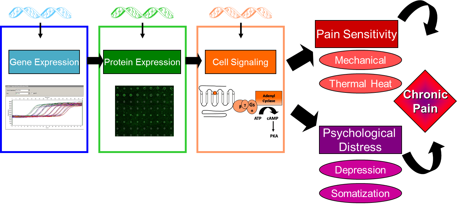 Molecular Profilling Graphic