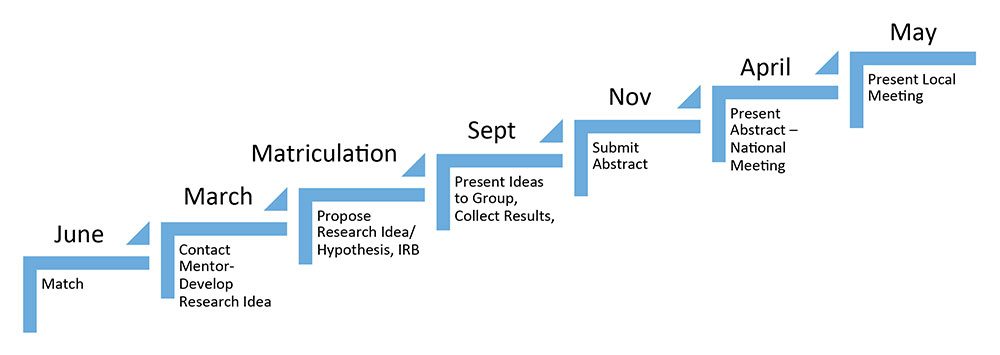 Research Process and Timeline