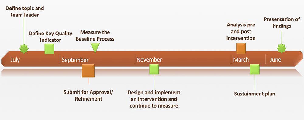 Pain Medicine Fellowship QI Curriculum