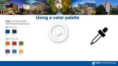 Using a Color Palette Video