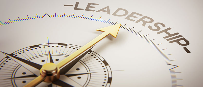 Leadership Compass Graphic