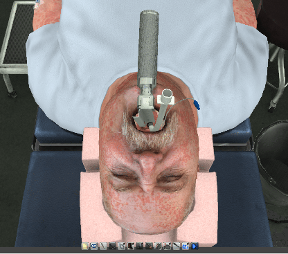 Virtual Simulation of Pdaats Travis Anaphylaxsis