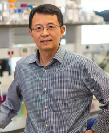 Dr. Ru-Rong Ji