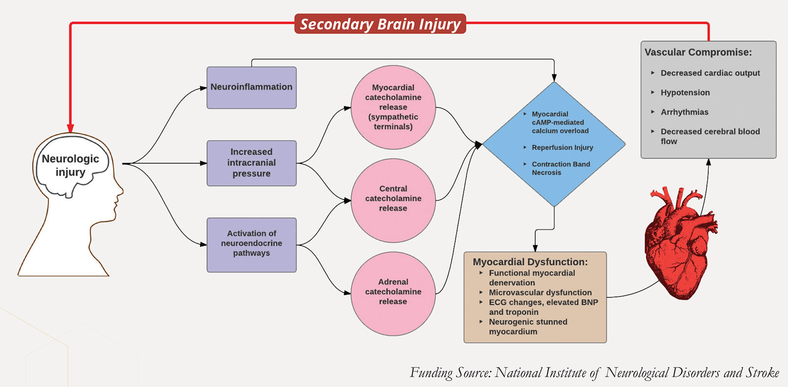 Secondary Brain Injury infographic