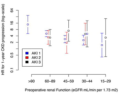 Cellular and genetic contributors in human AKI