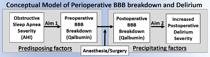Conceptual model of relationships between obstructive sleep apnea, increased blood brain barrier breakdown (BBB), and postoperative delirium. Obstructive sleep apnea could increase BBB breakdown to predispose patients to postoperative delirium. Anesthesia/ surgery also can cause BBB breakdown to precipitate postoperative delirium.