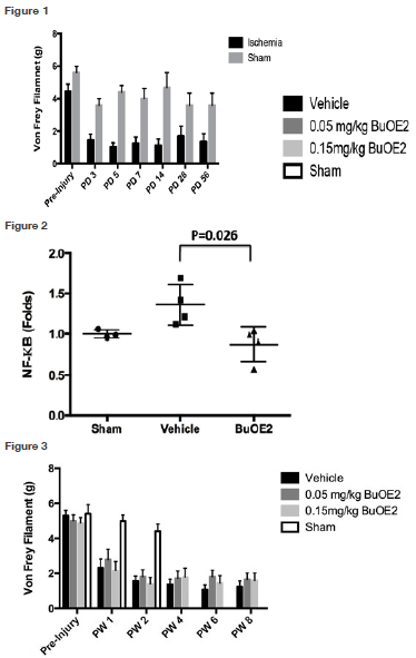 Dr. Sheng DIG Figure 1