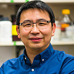 Wei Yang, PhD, FAHA