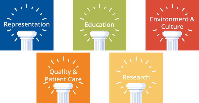 EDI Pillars - Representation, Education, Environment & Culture, Quality & Patient Care, Research