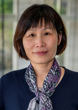 Qin Zhang, MD