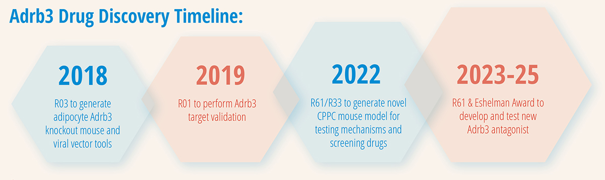 Adrb3 Drug Discovery Timeline