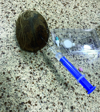 Demonstrating loss of resistance on a coconut