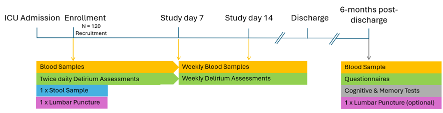 CASCADE-ICU Study Workflow