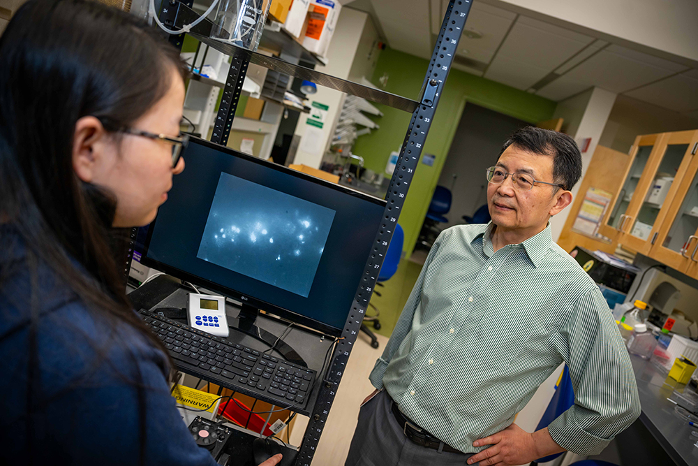 Dr. Ru-Rong Ji with lab member.