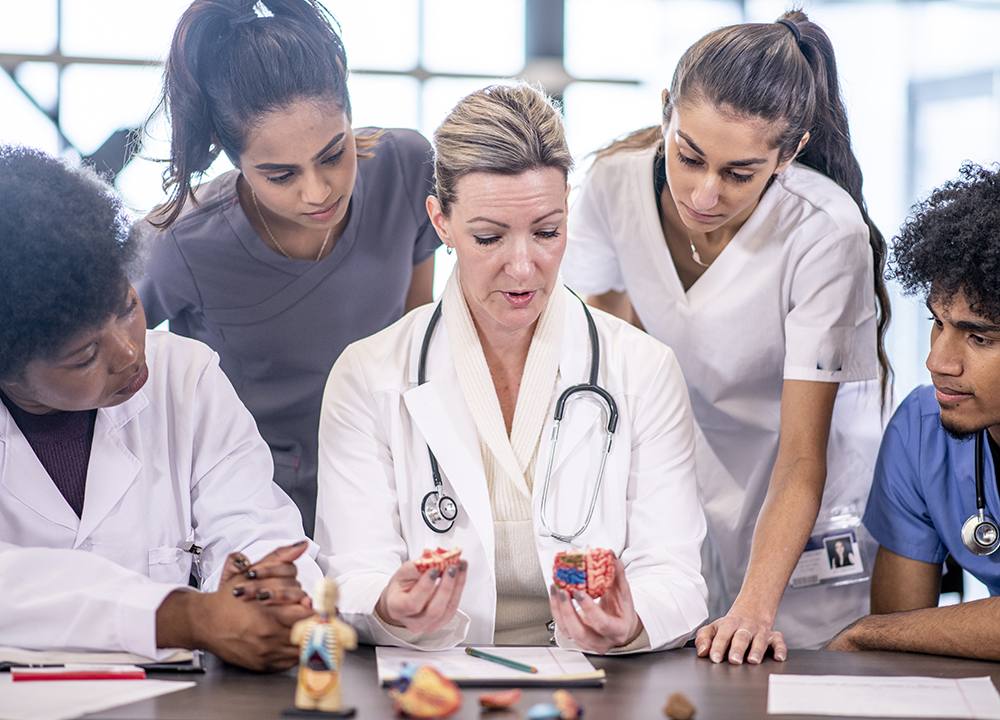 University Medical students Learning About The Brain