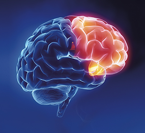 Highlighted brain on a blue background