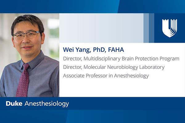 Wei Yang, PhD, FAHA