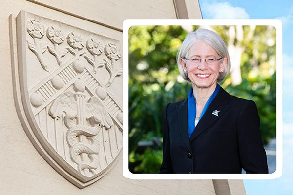 Debra A. Schwinn Fund