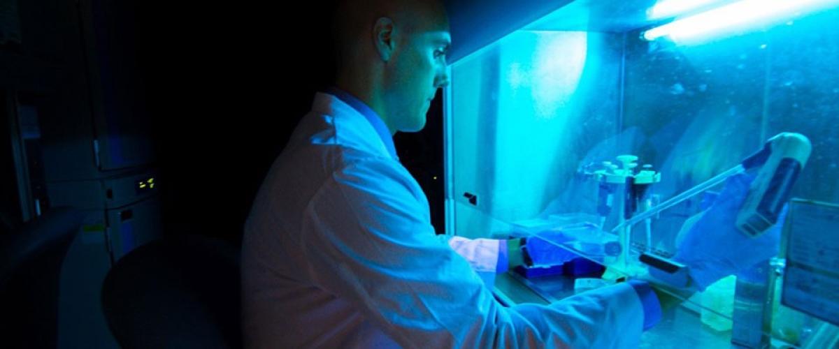 About our Research Program
