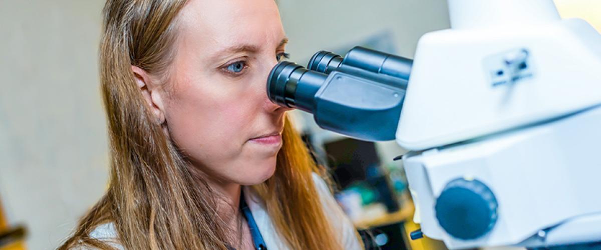 Dr. Anne Cherry looking through a microscope.