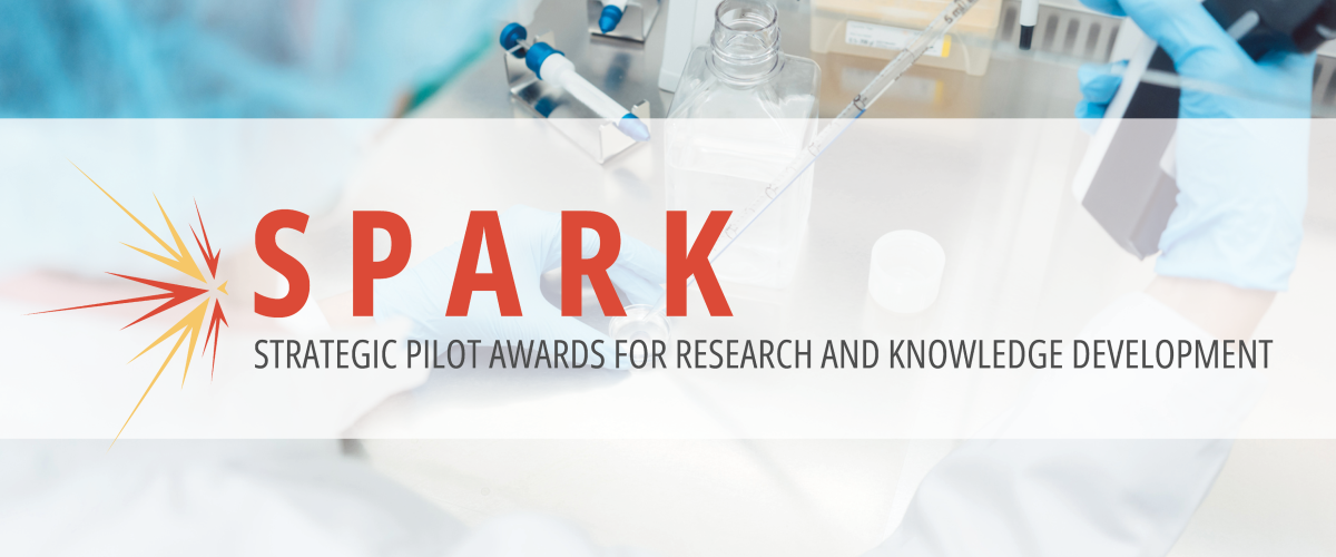 SPARK Banner: Strategic Pilot Awards for Research and Knowledge Development
