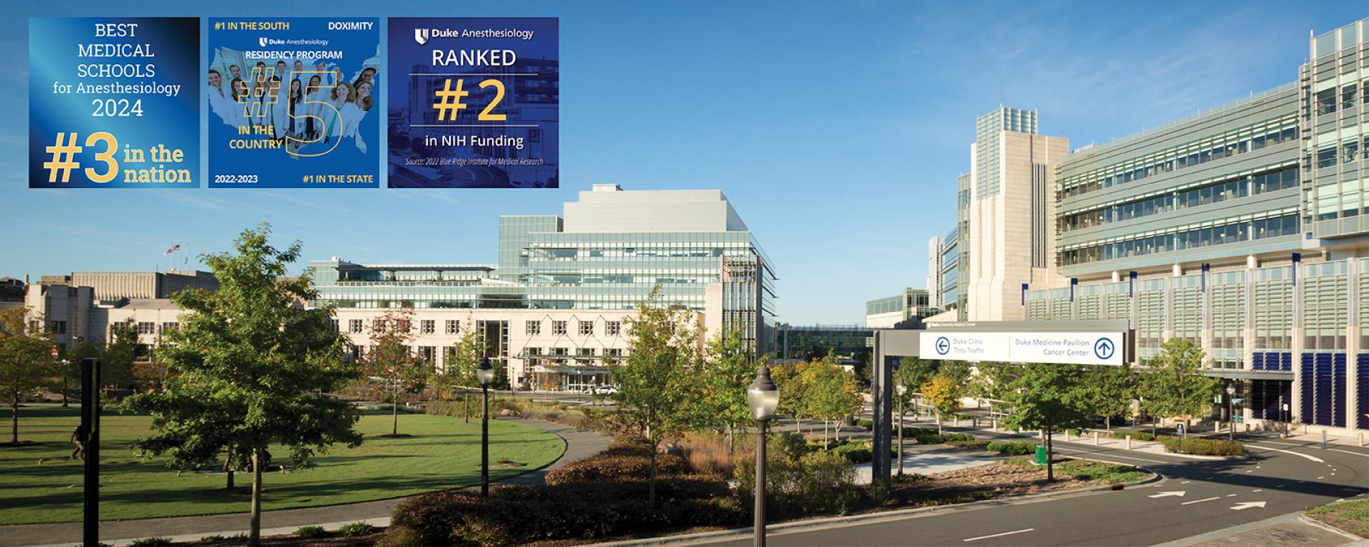 Duke Anesthesiology