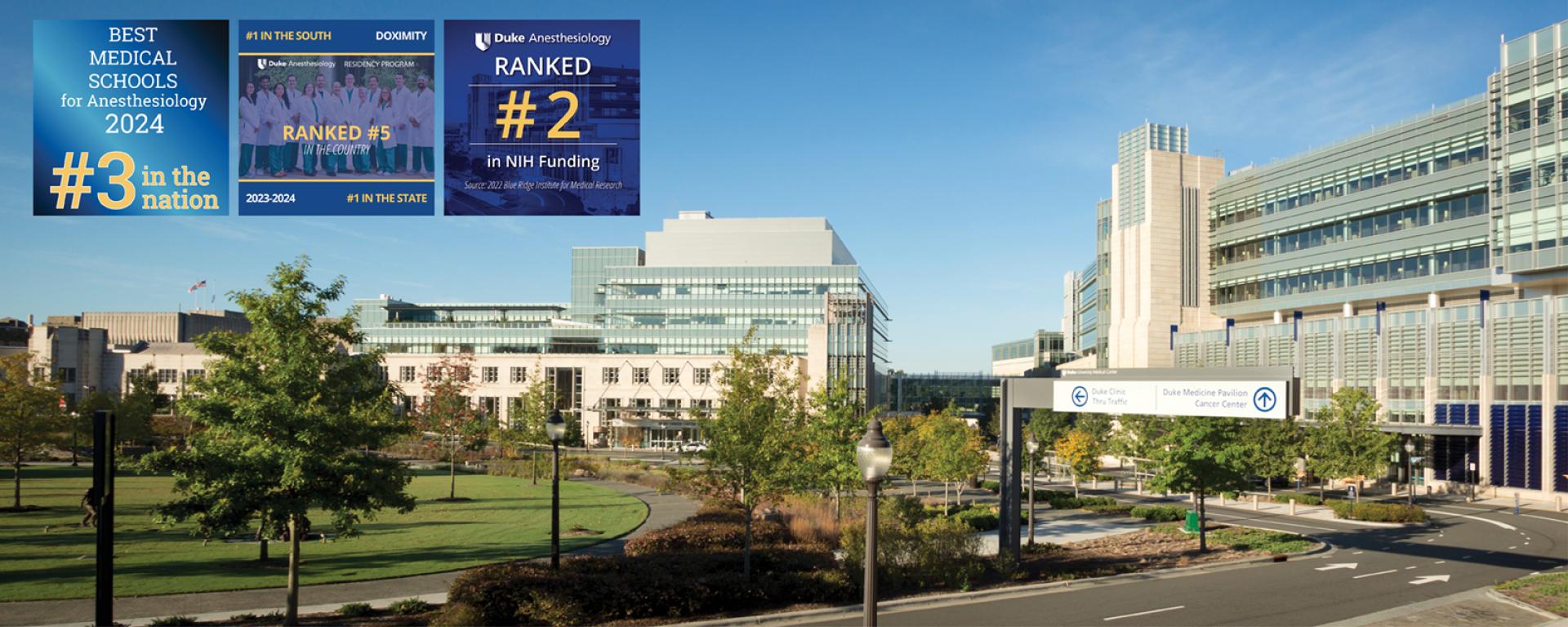 Duke Anesthesiology