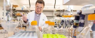 Duke Anesthesiology Research