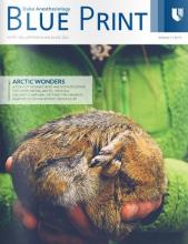 2013 BluePrint Cover