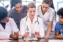 University Medical students Learning About The Brain