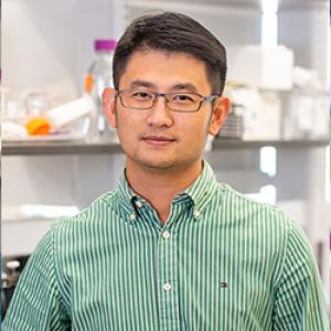Kaiyuan Wang, MD, PhD