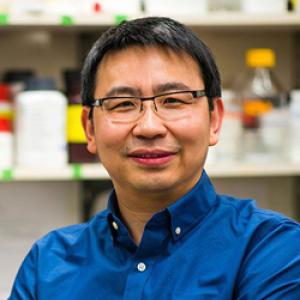 Wei Yang, PhD, FAHA