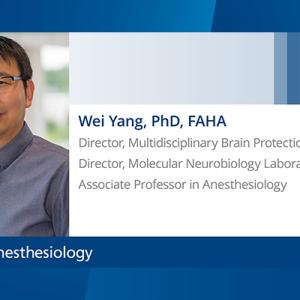 Wei Yang, PhD, FAHA