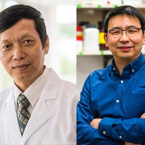 Huaxin Sheng, MD, and Wei Yang, PhD, FAHA
